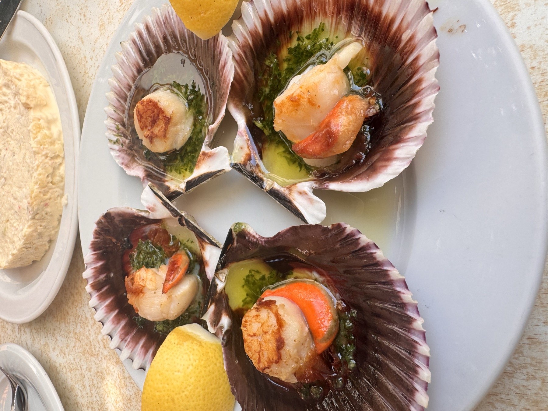 Grilled scallops in their shells at Restaurante Malveiro